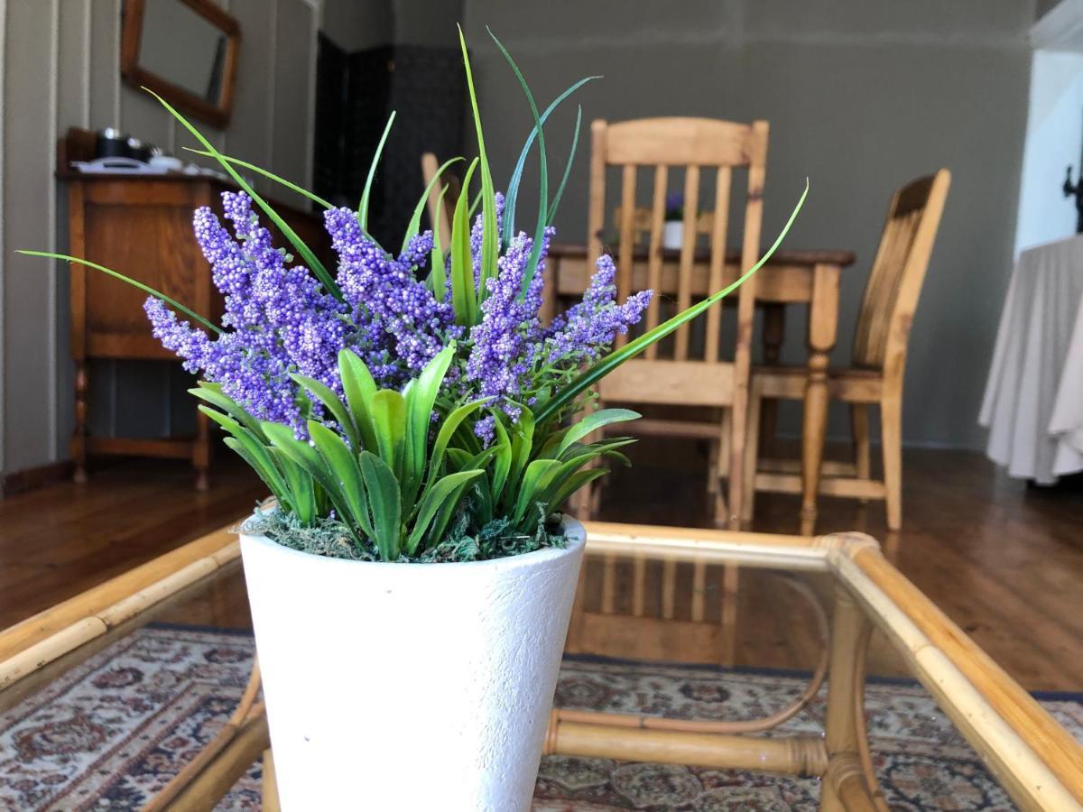 The Lavender Guesthouse Kroonstad Eksteriør bilde